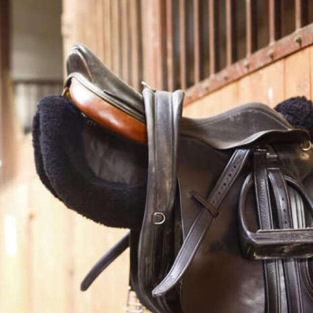 teaser pferdewelt stallbedarf